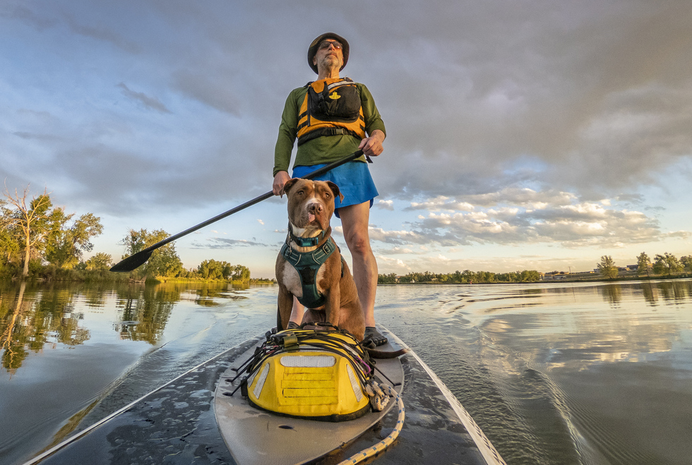 Best Places to Paddleboard with Your Pooch