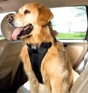 Pet Seat Belts