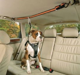 Pet Zipline Seat Belt