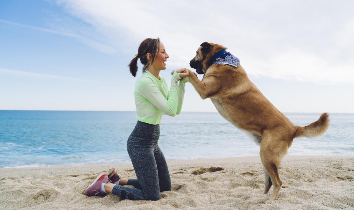 Dog-Friendly Beach Destinations You and Your Pup will Love
