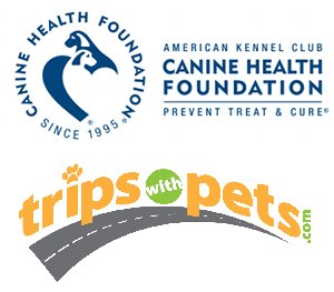 Pet Travel Safety Campaign