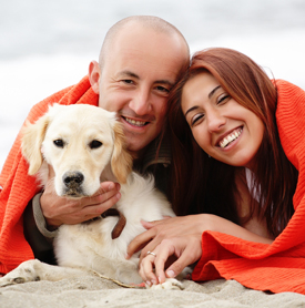 Pet Friendly Hotels and Accommodations
