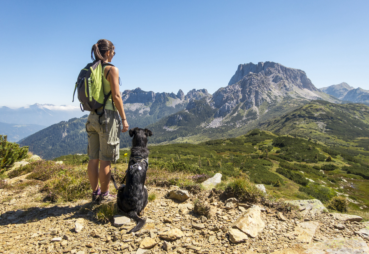 Pooch Popular Dog-Friendly National Parks to Hike