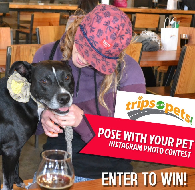 Pose With Your Pet Instagram Contest