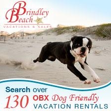 Pet Friendly Brindley Beach Vacation Rentals