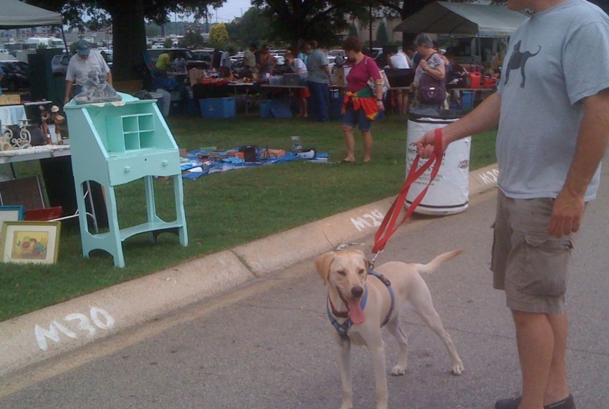 Pet Friendly Flea Market