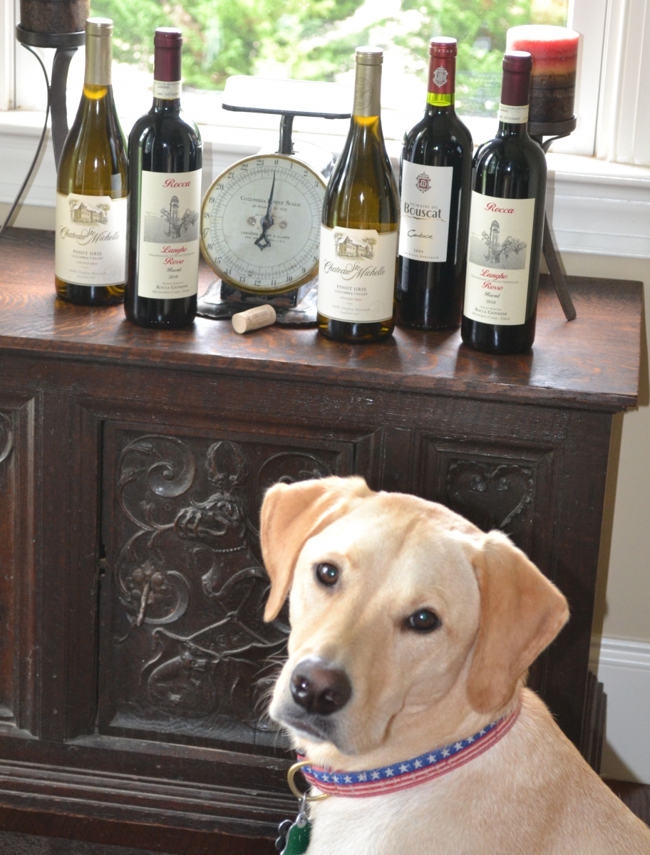 Dog Friendly Wineries