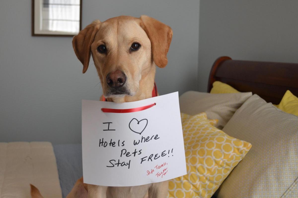 Tucker Pets Stay Free Sign Pet Friendly Hotels 