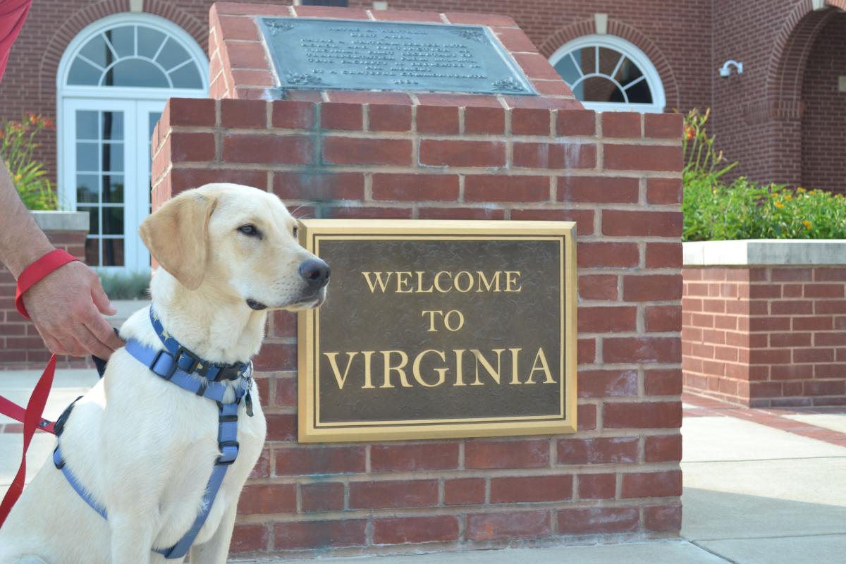 Top 5 Pet Friendly Hotels in Virginia