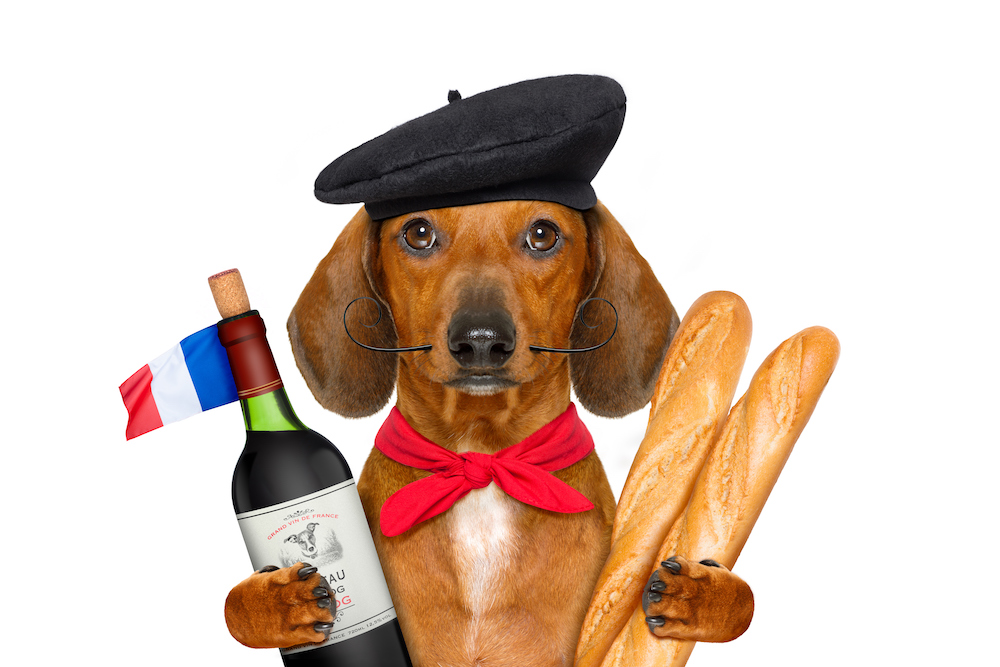 Dog Friendly Wineries