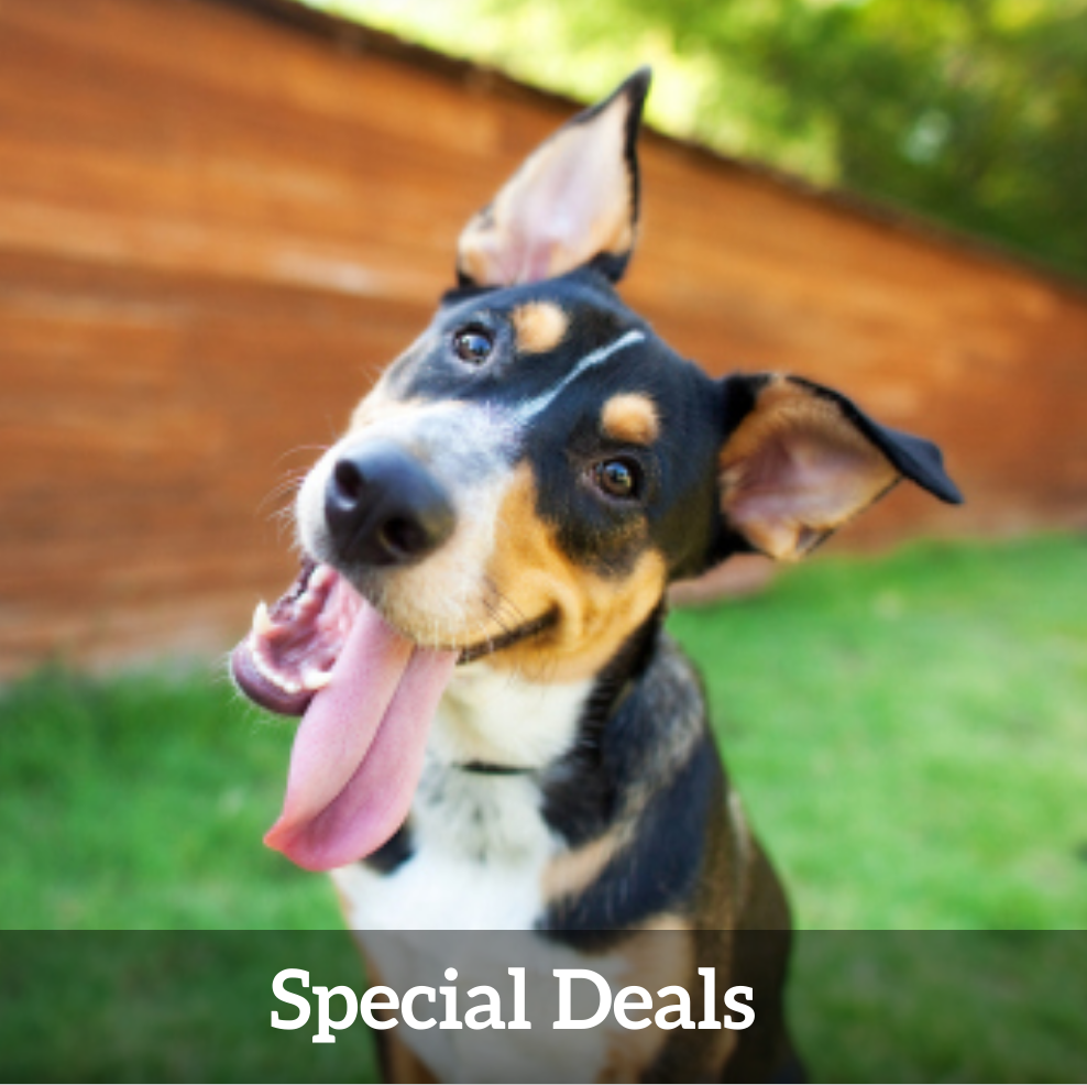 Special Deals