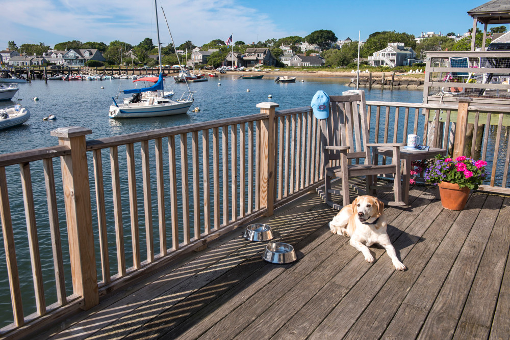 Tucker Talks With The Cottages at Nantucket Boat Basin