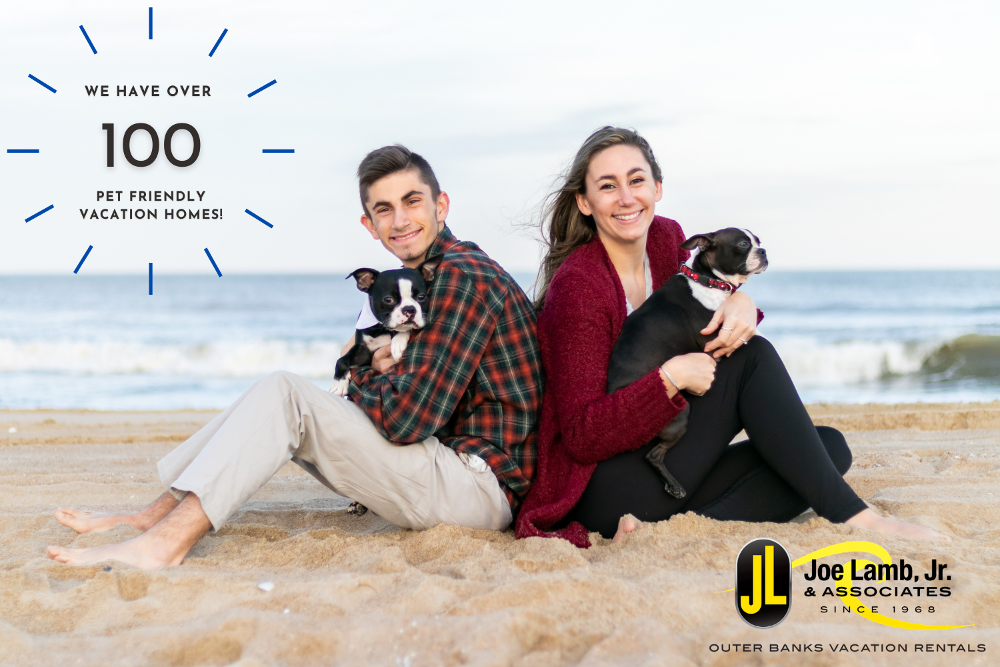 Joe Lamb Jr Associates Outer Banks Rentals Hotel Pet Policy