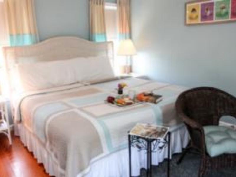 The Homestead Bed Breakfast At Rehoboth Beach - Hotel Pet Policy